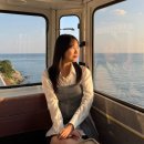 송정동-18 | 부산 여행 미포철길 스카이캡슐 해운대 블루라인파크 해변열차 예약 주차 꿀팁