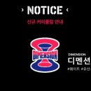11디멘션