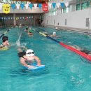 예천청소년수련관수영장 이미지