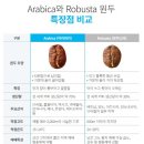아라비카 - 창원시 진해구 진해대로 762 | 아라비카