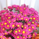 동산농원 이미지