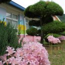 증산초등학교 이미지