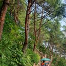 금원산자연휴양림 이미지