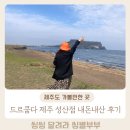 드르쿰다 제주 성산점 | 제주 가족과 가볼만한 곳 내돈내산 제주카페 드르쿰다 카페 제주성산점 솔직후기