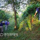 전의면사무소 이미지