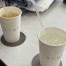 마하73 | Alma studio 후기