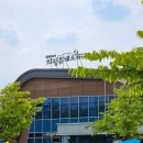 의성휴게소 청주방향 | 달빛따라 의성휴게소 청주방향 옥수수 후기!(내돈내산)