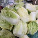 GS더프레쉬 명장점 | GS더프레쉬 보성녹돈 미박삼겹살 대박 맛있음 내돈내산 솔직후기