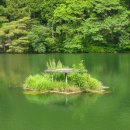 꽃피는 봄날 이미지