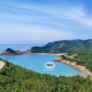 암태 후박나무 가로수길 | 섬 여행지 추천 - 섬여행 가볼만한곳 10곳