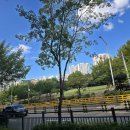 호미골체육공원 이미지