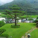 소나무풍경펜션 이미지