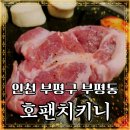 부평시장역 한화생명 앞 | 인천 부평구 부평동 - 호팬치키니! 치킨뿐 아니라...업력의 비법이 듬뿍!(ft.주차정보,메뉴판,솔직후기)