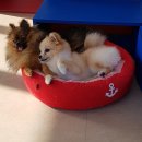 동탄우리유치원 이미지