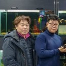 한국동물실용전문학교 이미지