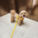 다정다감, 봄 이미지