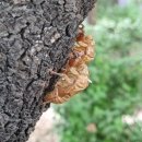 해인한의원 이미지