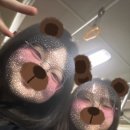 연우태권도장 네이버블로그
