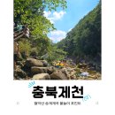미륵송계로 | 충북 제천 월악산 송계계곡 주차장 물놀이 포인트 식당 추천