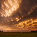 토네이도 이미지