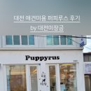 퍼피루스 이미지