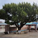 연산초교정문 이미지