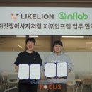 멋쟁이사자처럼 이미지