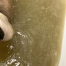 뚜니살롱 이미지