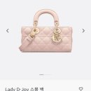 디.라떼(D.LATTE) | 디올 DIOR 디조이백 D-Joy 스몰 라떼 색상 후기🤍잠실 에비뉴엘 노티드🧁