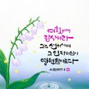 신정하 장로 이미지
