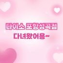 씨유 포항흥해성곡 | 다이소 포항성곡점 후기｜포항 다이소 중 제일 괜찮은 듯?