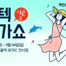 세텍메가쇼 2017시즌2 2017.8.24~8.27 이미지