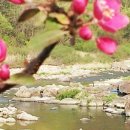 예솔이네집 이미지