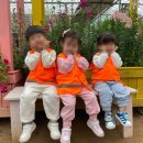 다솜컴퍼니 이미지