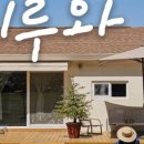 크리스마스애견동반펜션민박 네이버블로그
