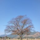 하사여성경로당 | [지리산둘레길] 오미☞방광 18코스