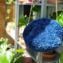 꼬꼬마니 이미지