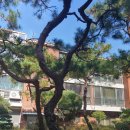 서초대로46길 47 이미지