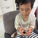 메이커스오일 | 칼리포 올리브오일 참치 후기