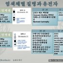 근위측성 측상경화증(루게릭)-21번 염색체 이미지