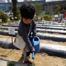 참유치원 이미지