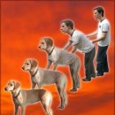 (주)웰리브 다정도시락 | 서로 다른 마음은 어디로든 다시 흘러갈 테니