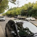 레몬카써비스 이미지