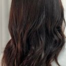 에비뉴142 이미지