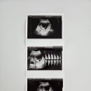 최세미산부인과의원 이미지