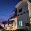 스카이 온수수영장 펜션 이미지