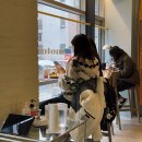 모타운 커피 | 잠실 송리단길 브런치 카페 모타운 서울 | 프렌치토스트와 샌드위치 먹은 내돈내산 후기