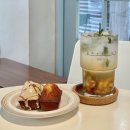 아프리쿠스 : 휘낭시에가 맛있고 고양이가 귀여운 용산 서울역사 카페 (반려동물 동반 가능)