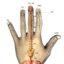 민제한의원 이미지