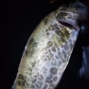 보성강8 이미지